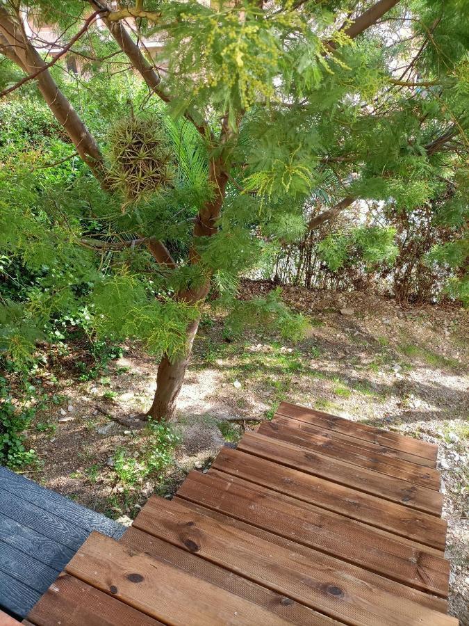 Appartement Proche Mer Avec Terrasse Et Jardin Privatif Hyères Extérieur photo